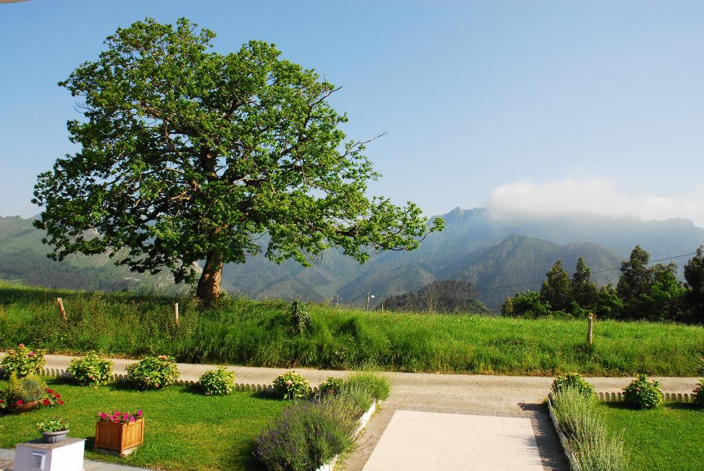 Hotel Mirador Del Sella Ribadesella Buitenkant foto
